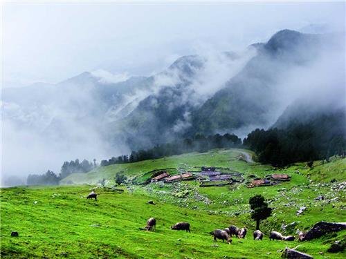 Chopta-Valley-Sikkim