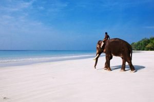 Andaman-y-Nicobar